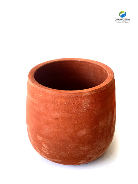 Which pots are better for planting, plastic or earthen pots?