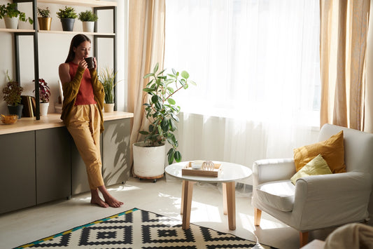 Plants to grow in your living room