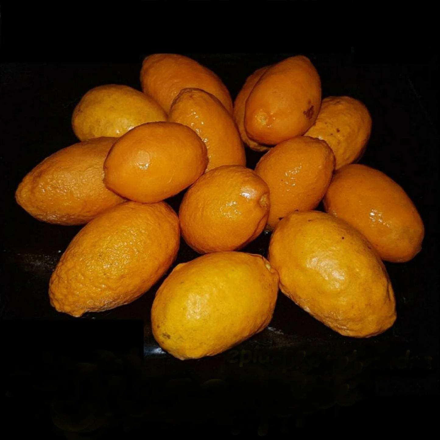 Olosappo Exotic Fruit Plants (Couepia Polyandryis)