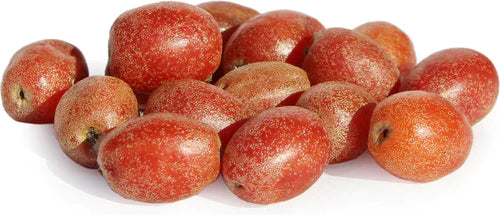 Silver Berry Exotic Fruit Plants (Elaeagnus Commutata)