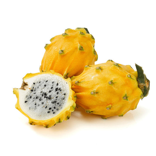 Dragon Exotic Fruit Yellow Extra-Sweet Variety Rooted Plant
