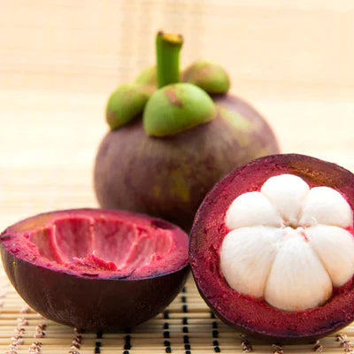 Mangosteen Exotic Fruit Plants (Garcinia Mangostana)