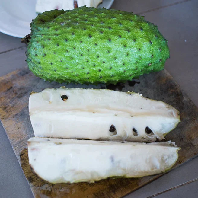 Sour Sop Exotic Fruit Plants (Annona Muricata)