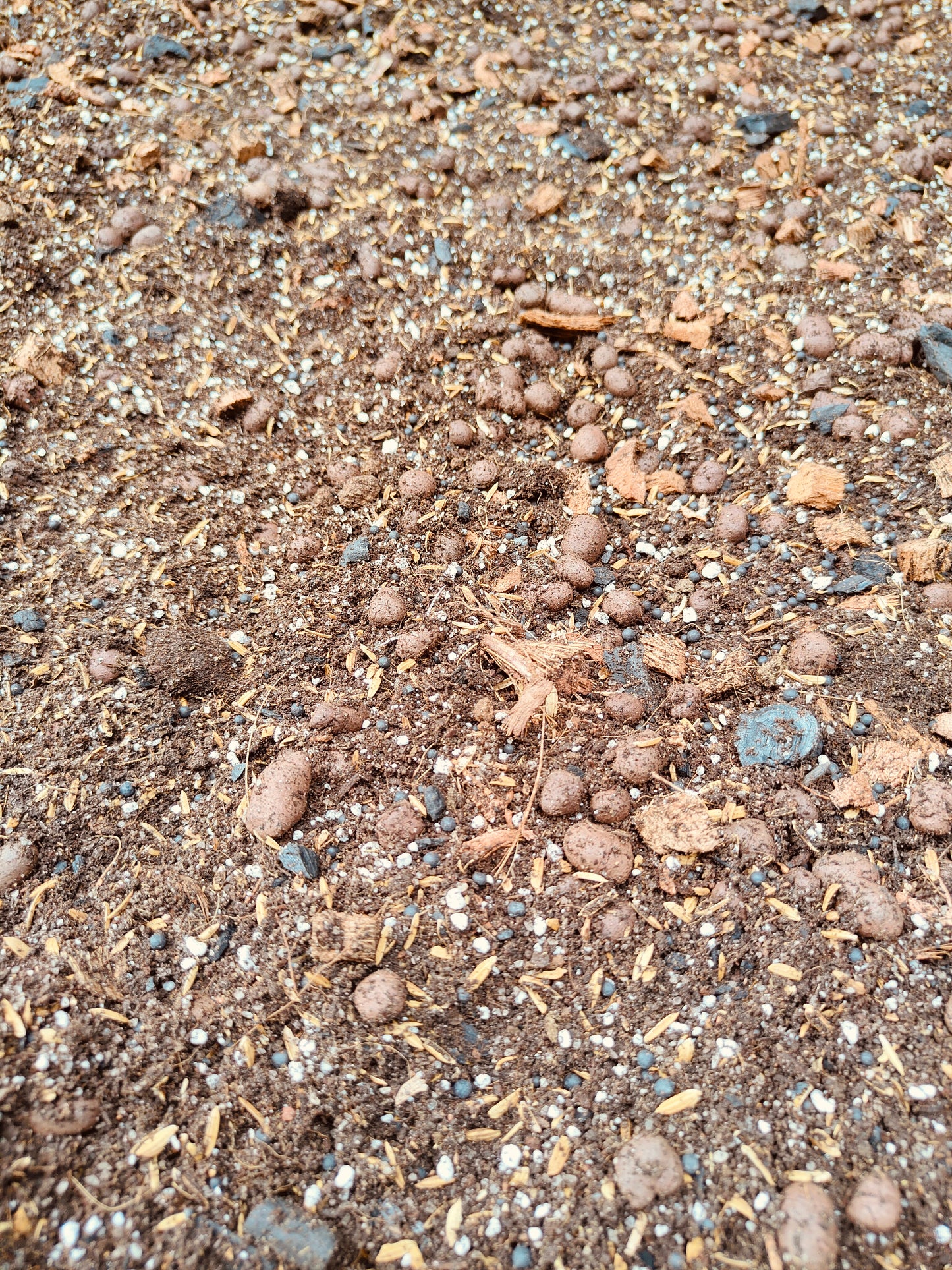 Premium Aroid Potting Mixture