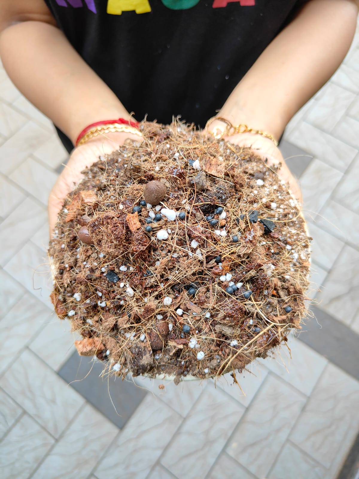 Premium Aroid Potting Mixture