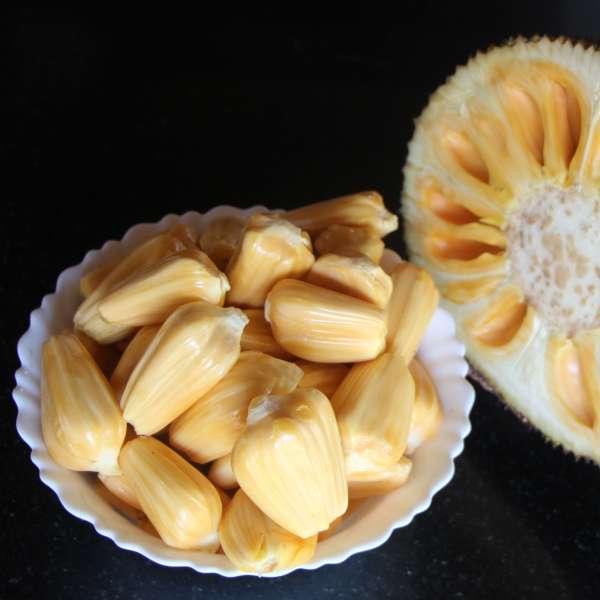 Cambodian Honey Jack Exotic Fruit Plants