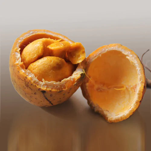 Madd Exotic Fruit Plants (Saba Senegalensis)