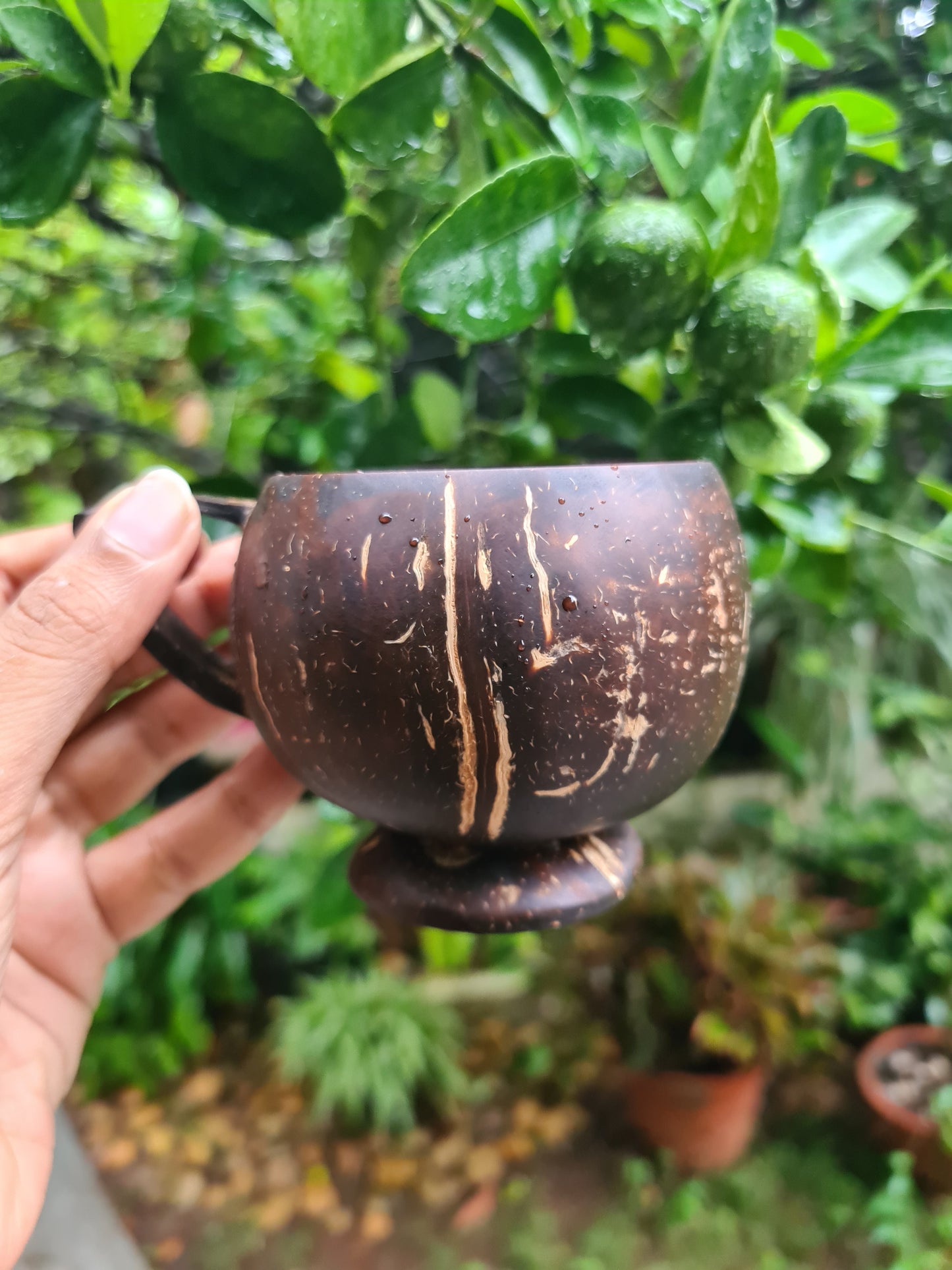 Thenga Coconut Teacup | Natural & Handmade | For Hot & Cold Beverages - 200 ml (Set of 2)