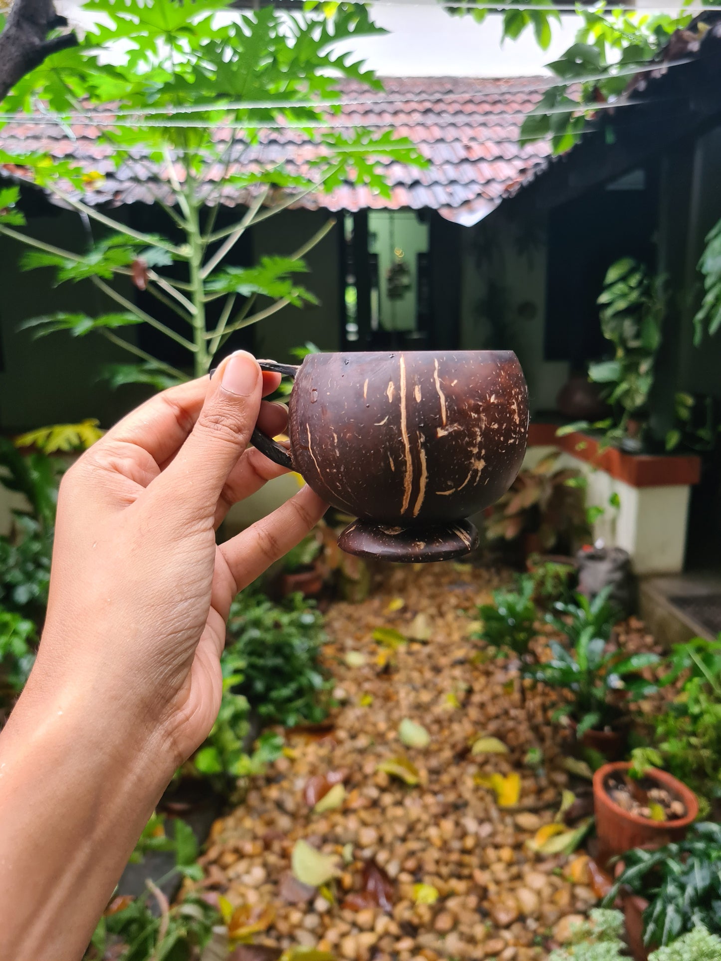 Thenga Coconut Teacup | Natural & Handmade | For Hot & Cold Beverages - 200 ml (Set of 2)