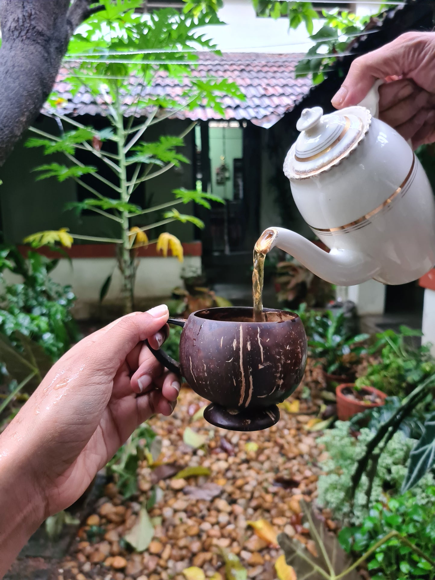 Thenga Coconut Teacup | Natural & Handmade | For Hot & Cold Beverages - 200 ml (Set of 2)