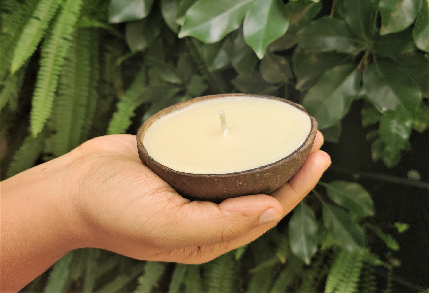 Thenga Coconut Shell Eco-friendly Candle/Diya (Set of 2, Coconut Scented)