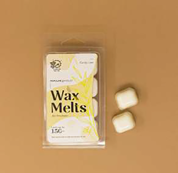 Wax Melts (8 cavity pack of two)