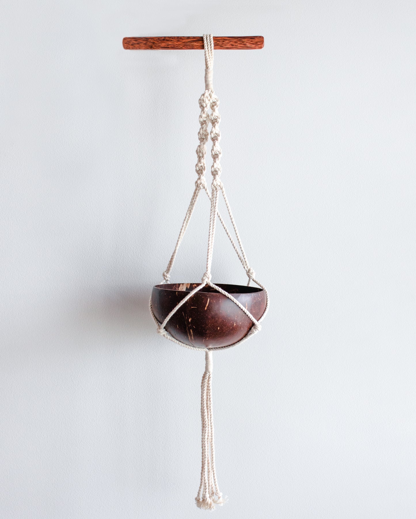 Thenga Coconut Shell Macrame Plant Hanger for Indoor & Balcony Gardening (Macrame Hanger & Coconut Shell)