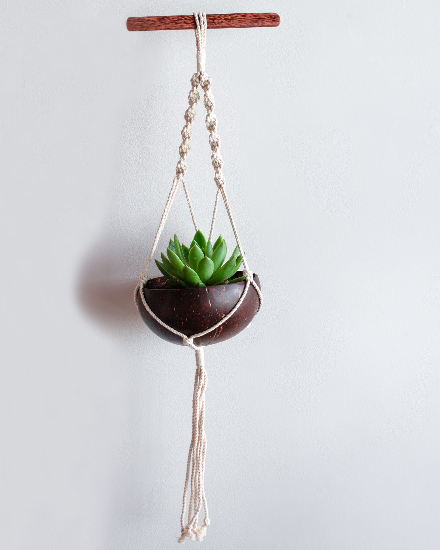 Thenga Coconut Shell Macrame Plant Hanger for Indoor & Balcony Gardening (Macrame Hanger & Coconut Shell)