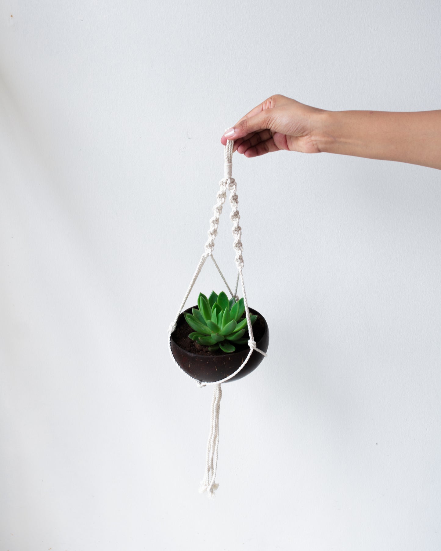 Thenga Coconut Shell Macrame Plant Hanger for Indoor & Balcony Gardening (Macrame Hanger & Coconut Shell)