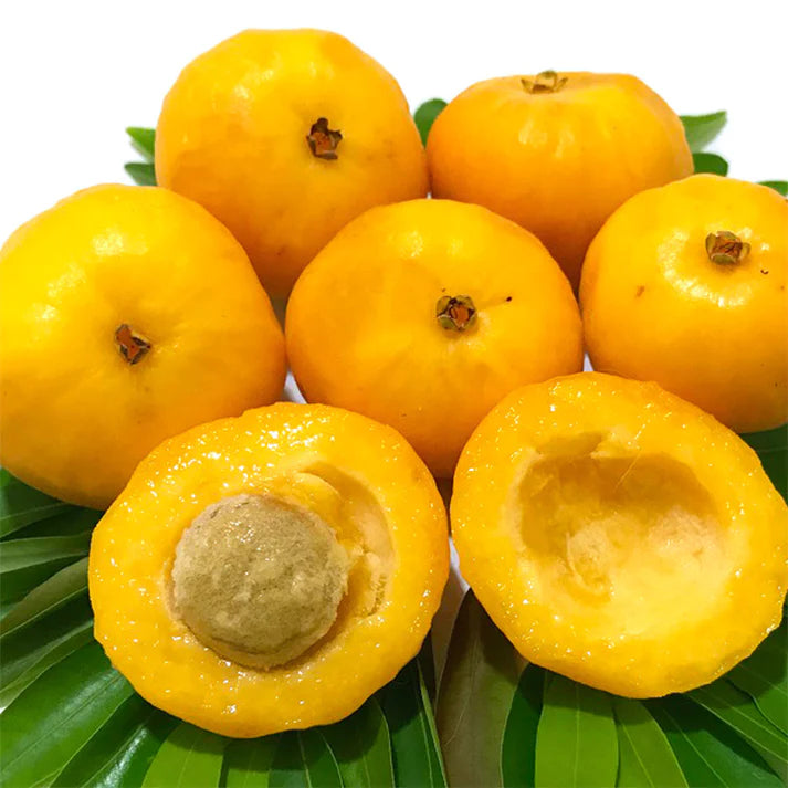 Uvaia Exotic Fruit Plants (Eugenia Pyriformis)