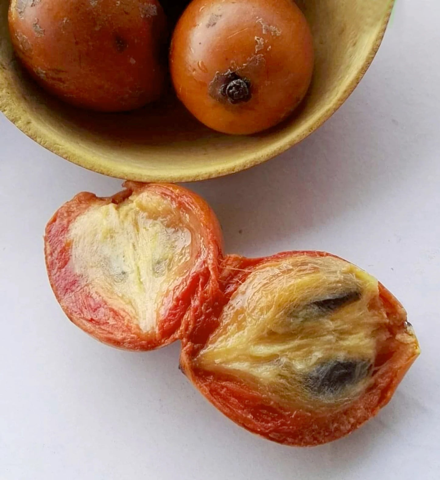 Udara Exotic Fruit Plants (Chrysophyllum Albidum)