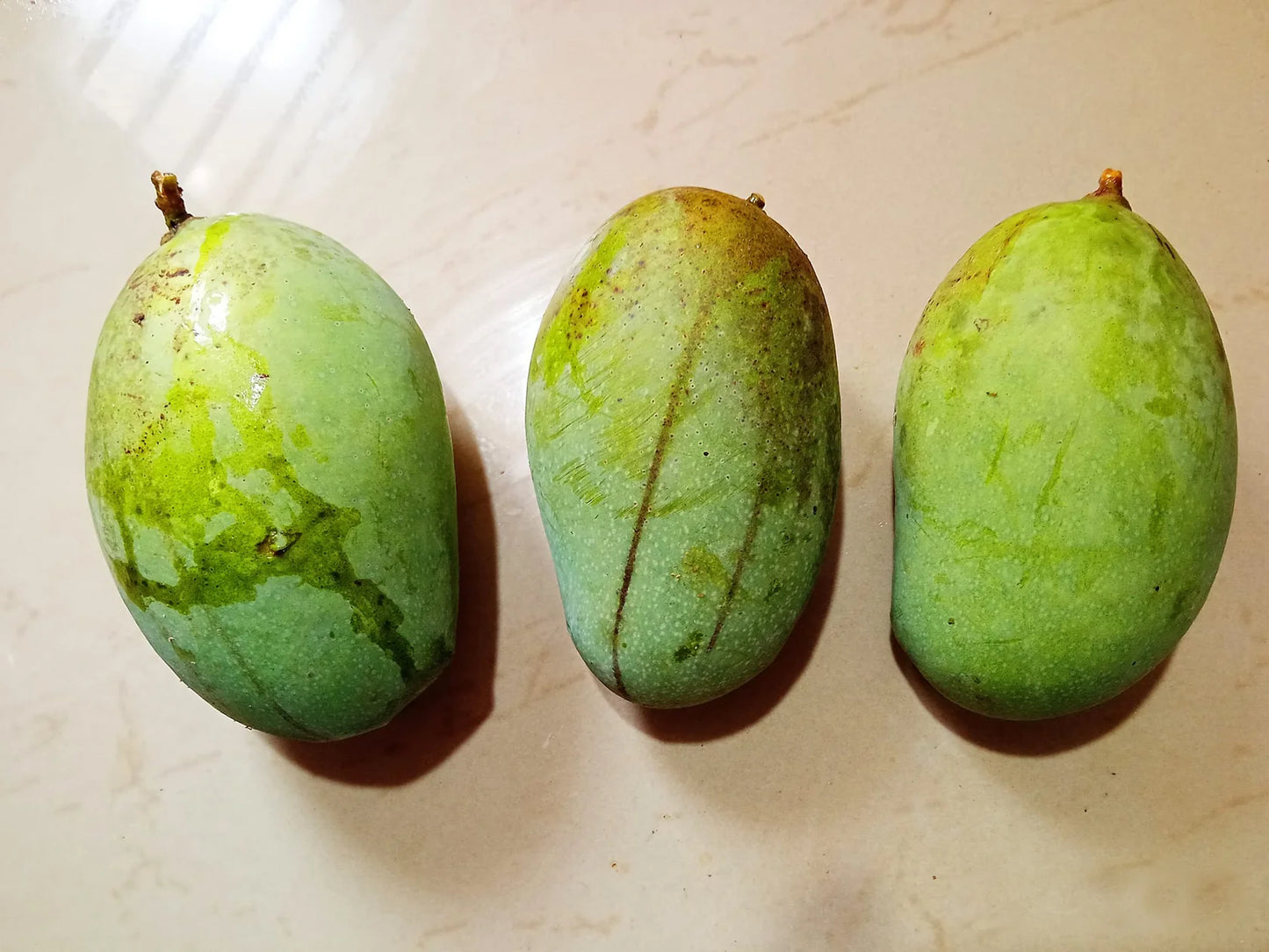 Kolomb Mango Exotic Fruit Plants