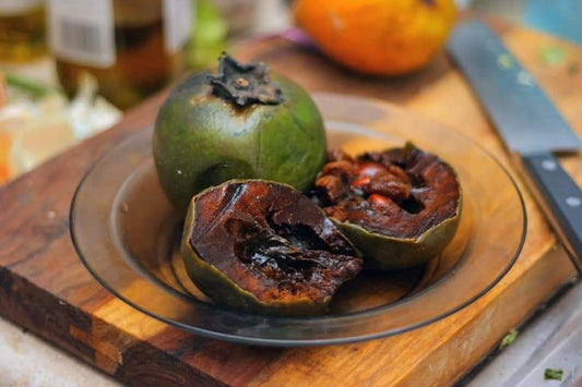 Black Sapote Exotic Fruit Plants (Diospyros Nigra)