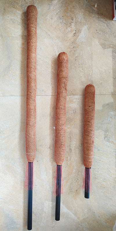 Moss & Coir Stick for Plant Support, Indoor Plants, House Plants & Plant Creepers.