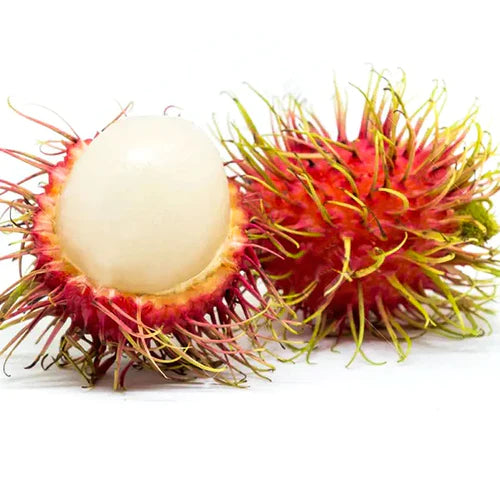 Rambutan Rongrien Exotic Fruit Plants