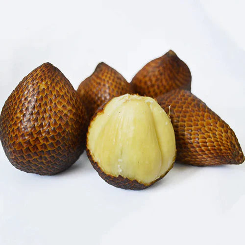 Pondoh Salak Exotic Fruit Plants (Salacca Zalacca)