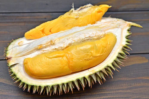 Durian Grafted Exotic Fruit Plant D24 (sultan)