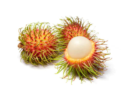 Rambutan Rongrien Exotic Fruit Plants