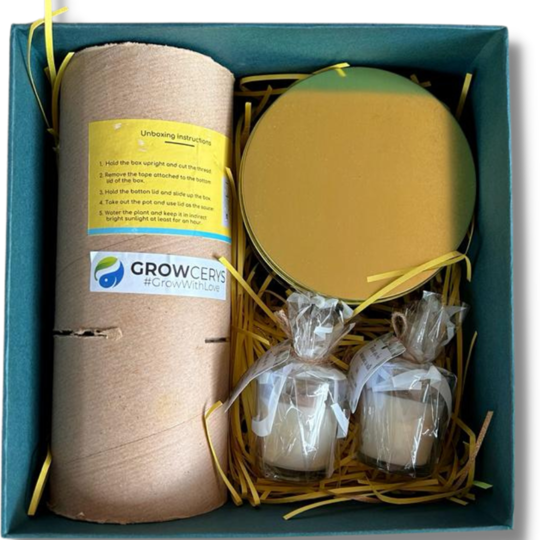 Growcerys Diwali Box of Delights Gift Hamper