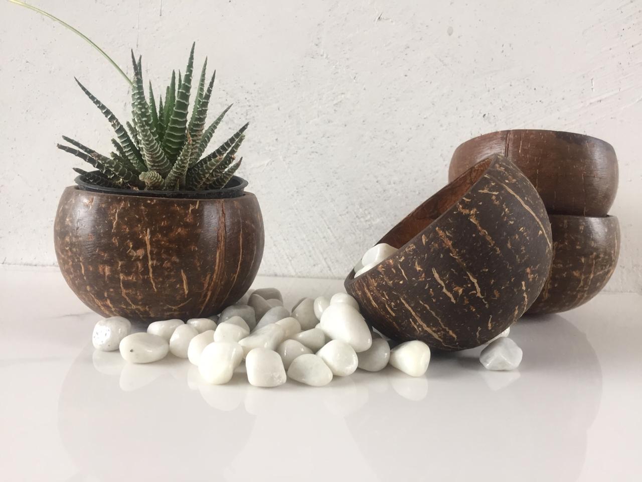 Thenga Coconut Shell Planter