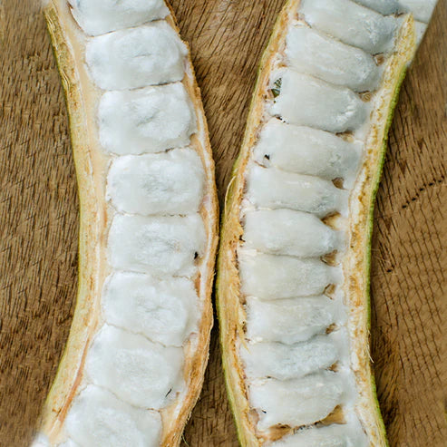 Ice Cream Bean Exotic Fruit Plants (Inga Edulis)